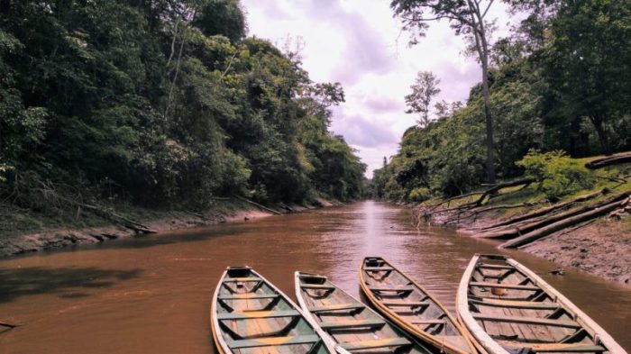 Amazonas-Peru-800x450